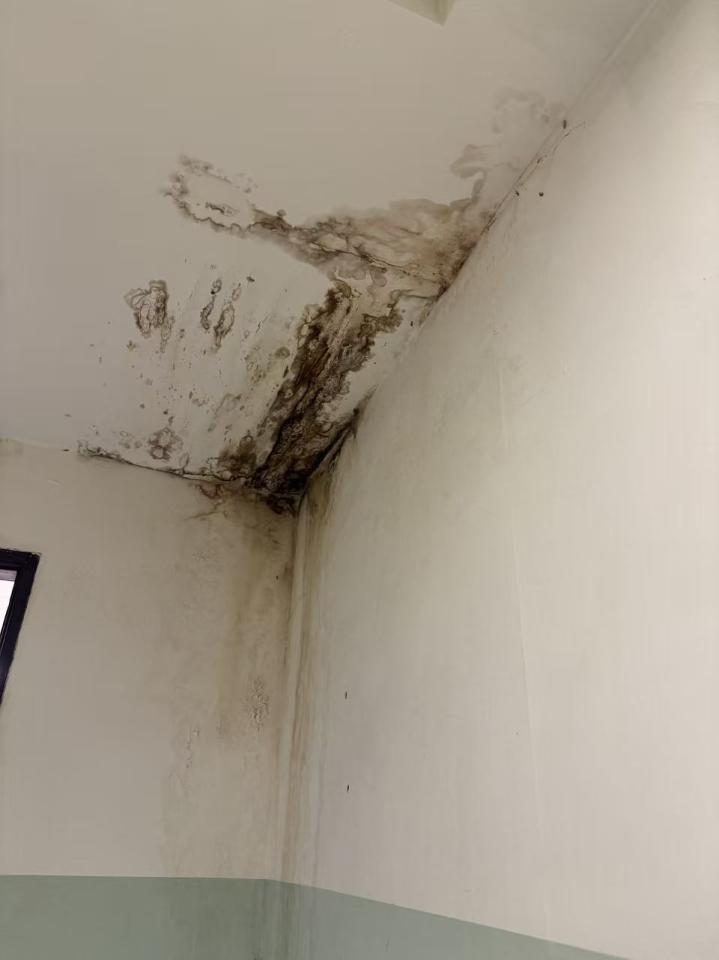 抓漏案件圖片 抓漏案件圖片