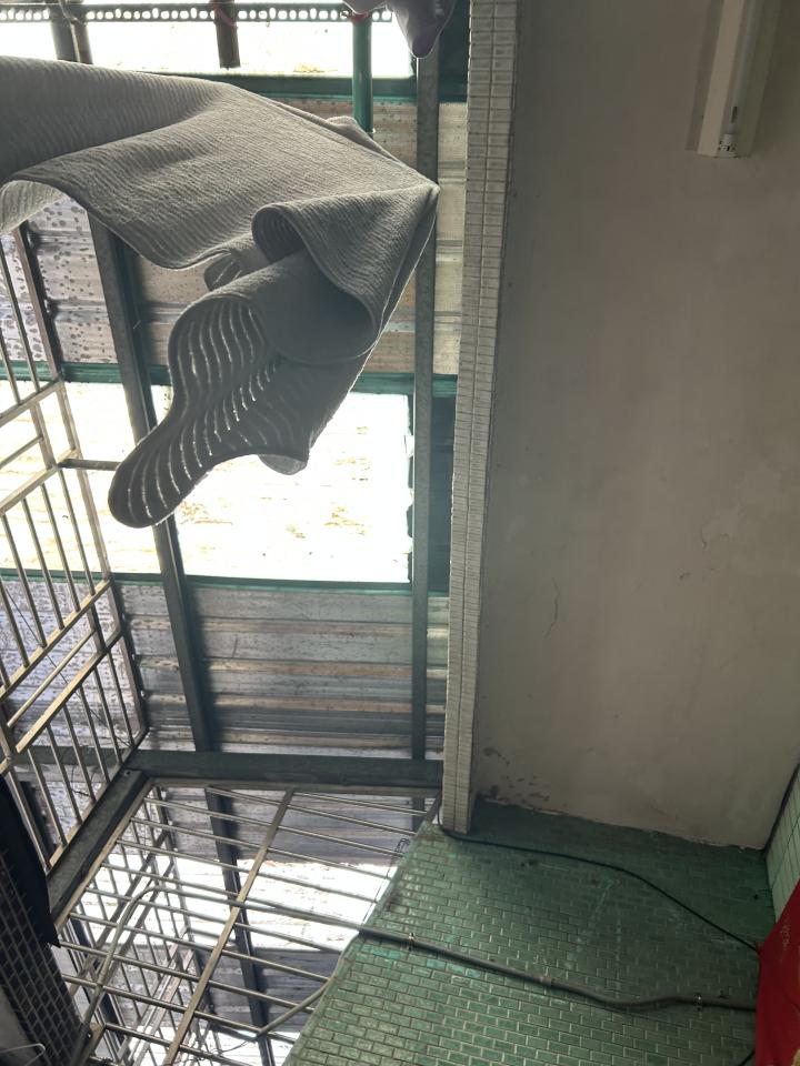 遮雨棚安裝案件圖片