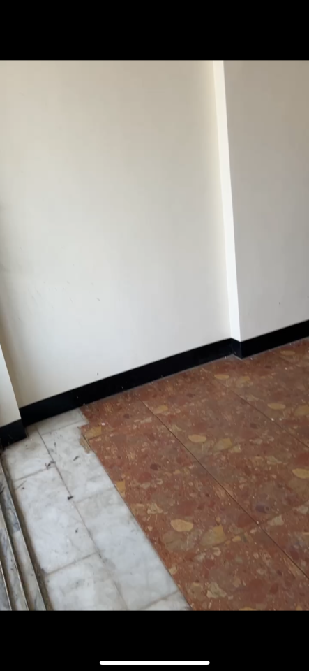 自平水泥案件圖片