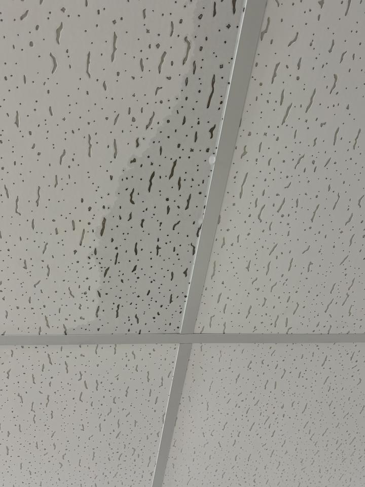 抓漏案件圖片 抓漏案件圖片