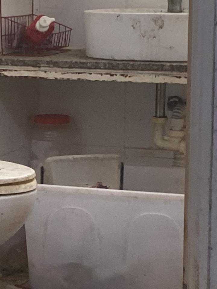 大型垃圾回收案件圖片