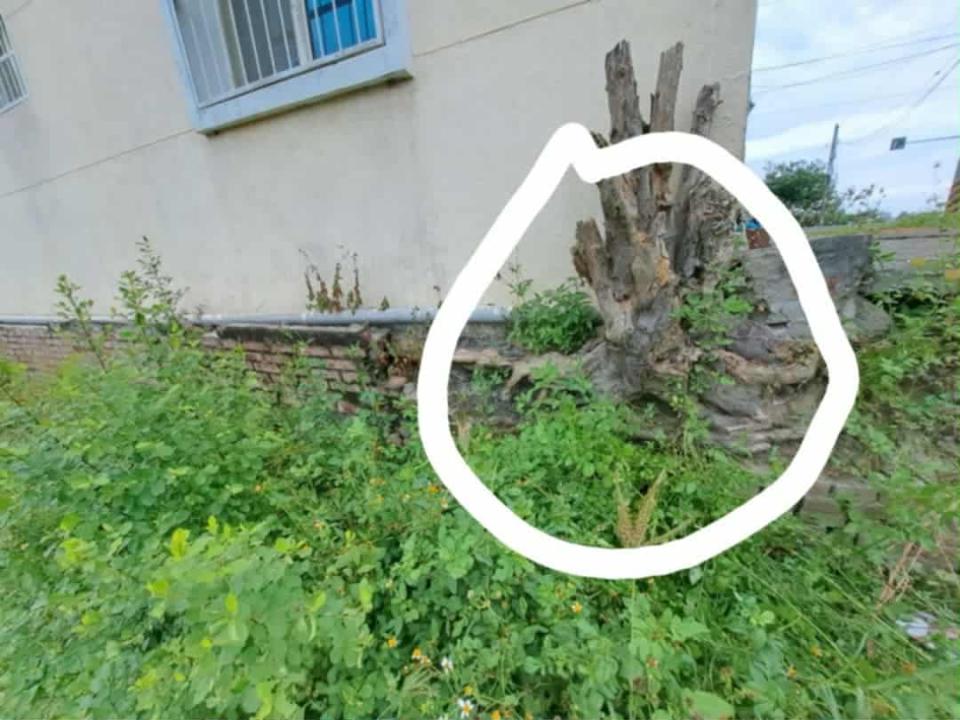 泥作/水泥施工案件圖片 泥作/水泥施工案件圖片