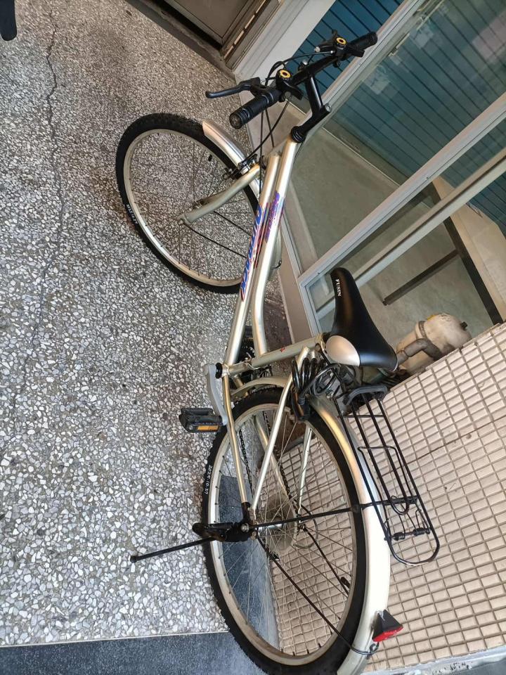 載貨運輸服務案件圖片 載貨運輸服務案件圖片