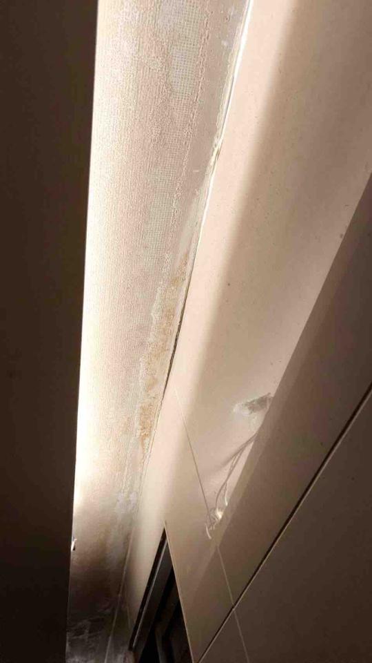 油漆工程案件圖片