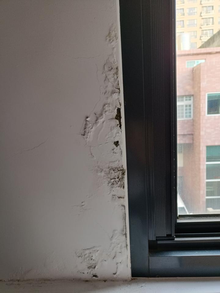 漏水處理案件圖片 漏水處理案件圖片