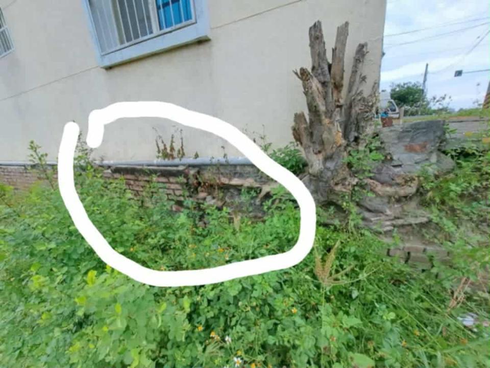 泥作/水泥施工案件圖片 泥作/水泥施工案件圖片