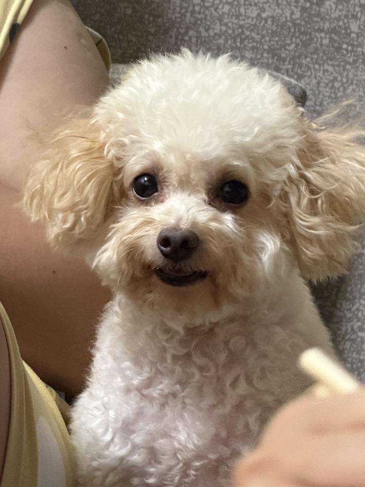 刺青案件圖片 刺青案件圖片