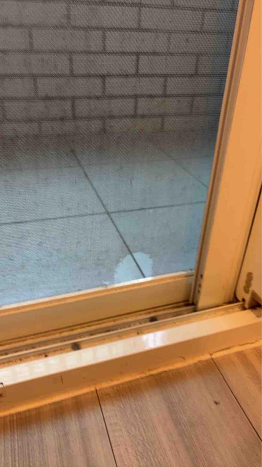 紗窗裝修案件圖片