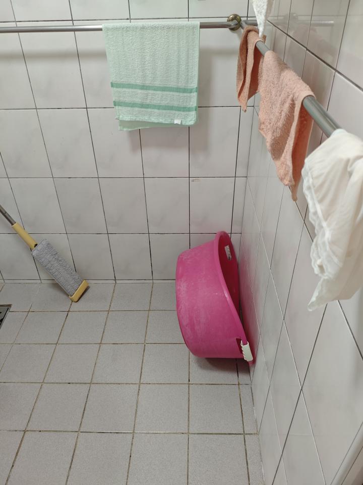 浴室設計案件圖片