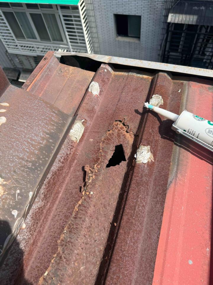 鐵皮屋頂案件圖片 鐵皮屋頂案件圖片