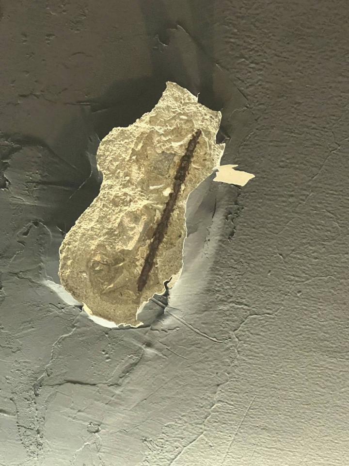 結構技師案件圖片 結構技師案件圖片