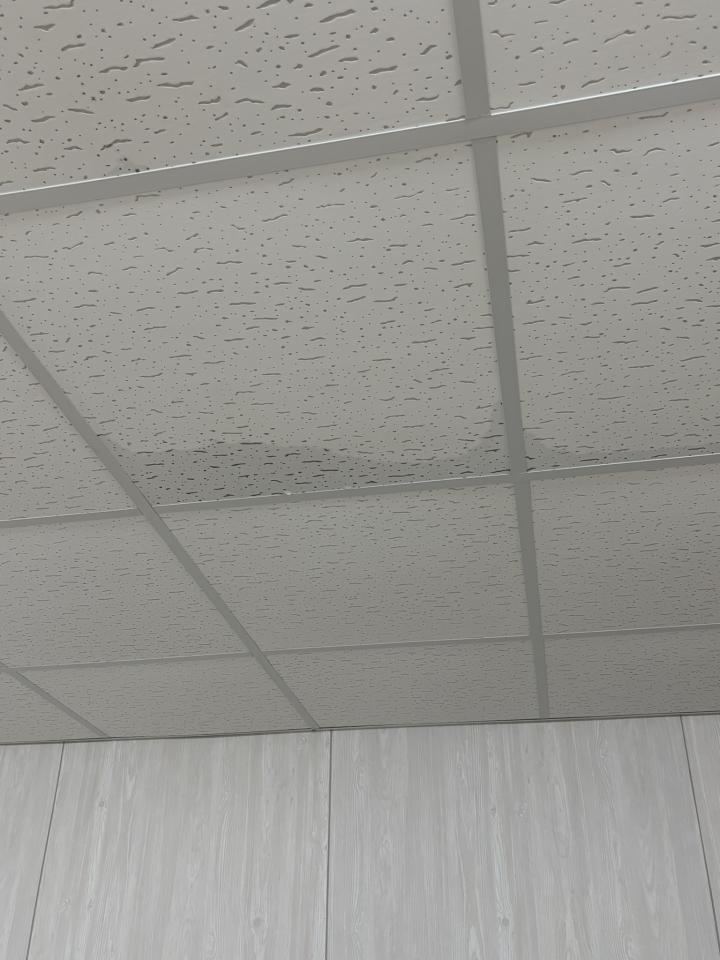 抓漏案件圖片 抓漏案件圖片