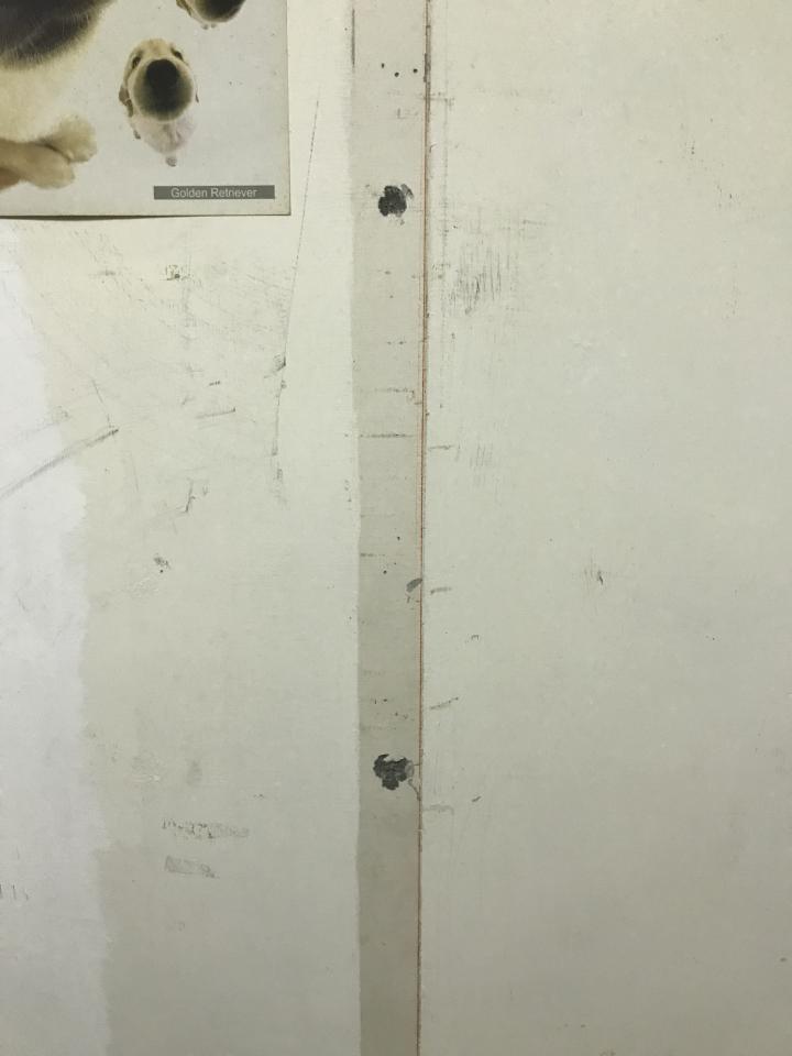 油漆工程案件圖片 油漆工程案件圖片