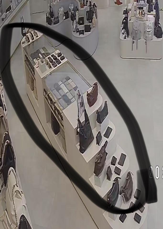 燈具安裝案件圖片 燈具安裝案件圖片