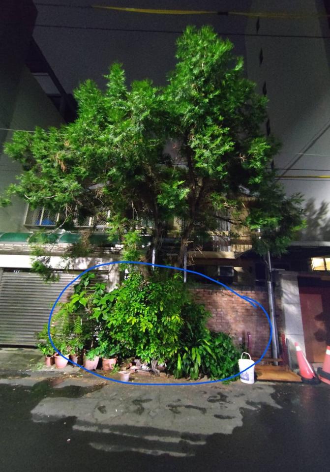 園藝維護案件圖片