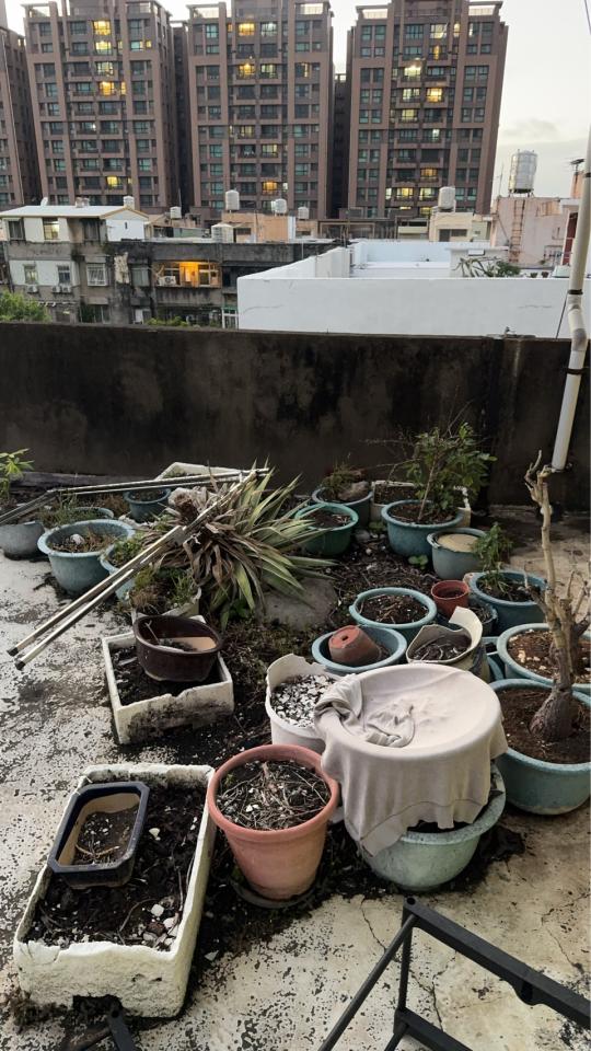 代收垃圾案件圖片 代收垃圾案件圖片