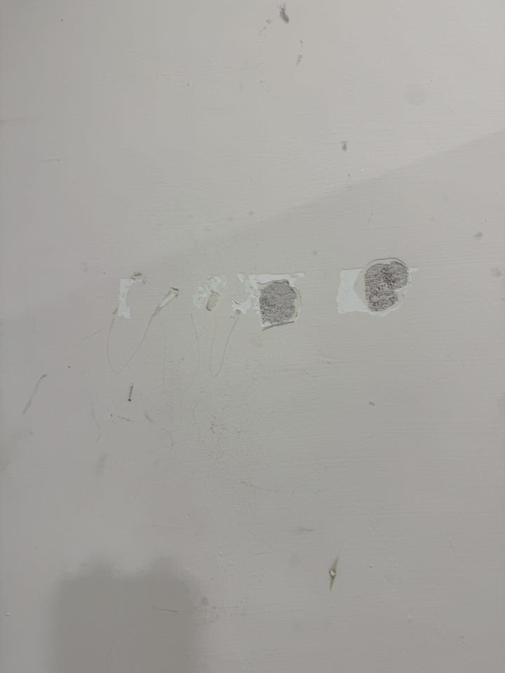 油漆工程案件圖片