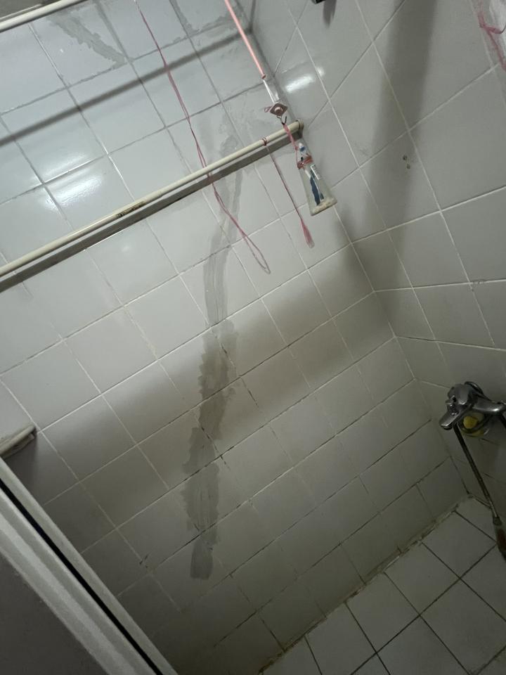 鋼筋外露處理案件圖片