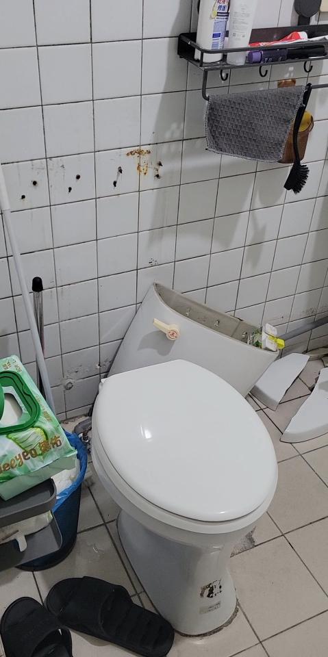 馬桶裝修案件圖片 馬桶裝修案件圖片