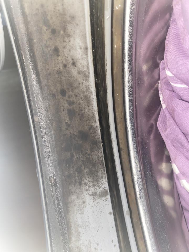 洗衣機清洗案件圖片 洗衣機清洗案件圖片