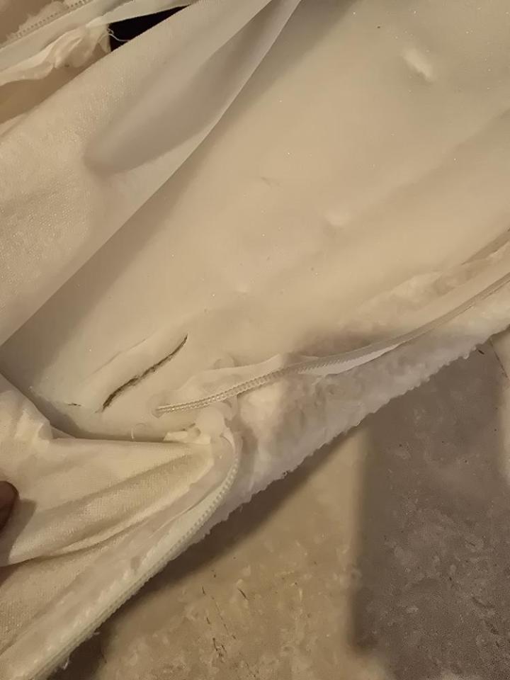 衣物修改案件圖片 衣物修改案件圖片