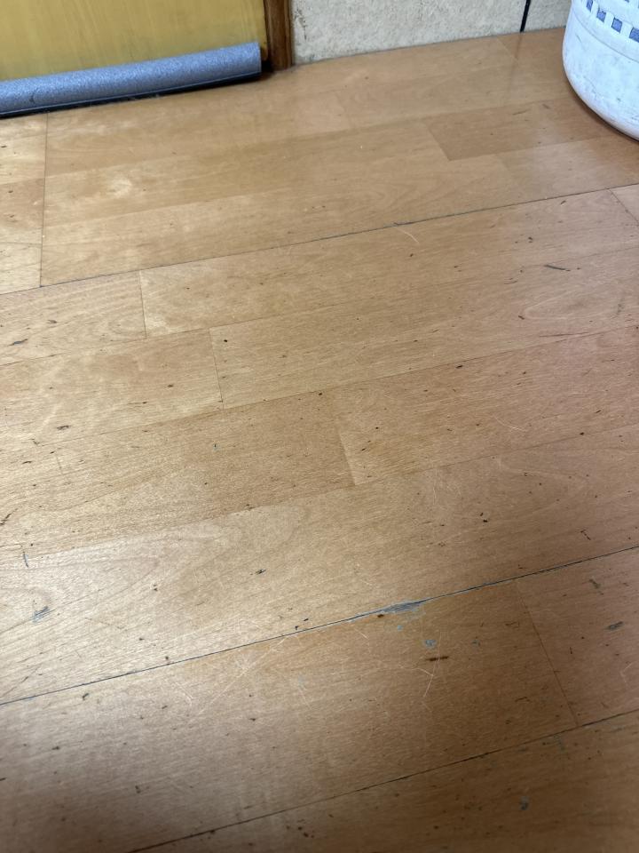 拆除工程案件圖片 拆除工程案件圖片