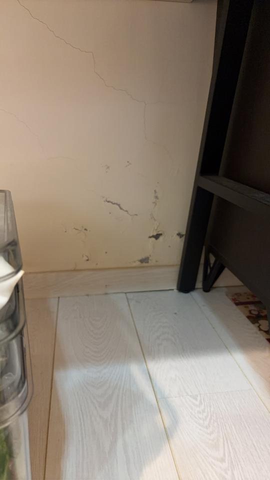 抓漏案件圖片 抓漏案件圖片