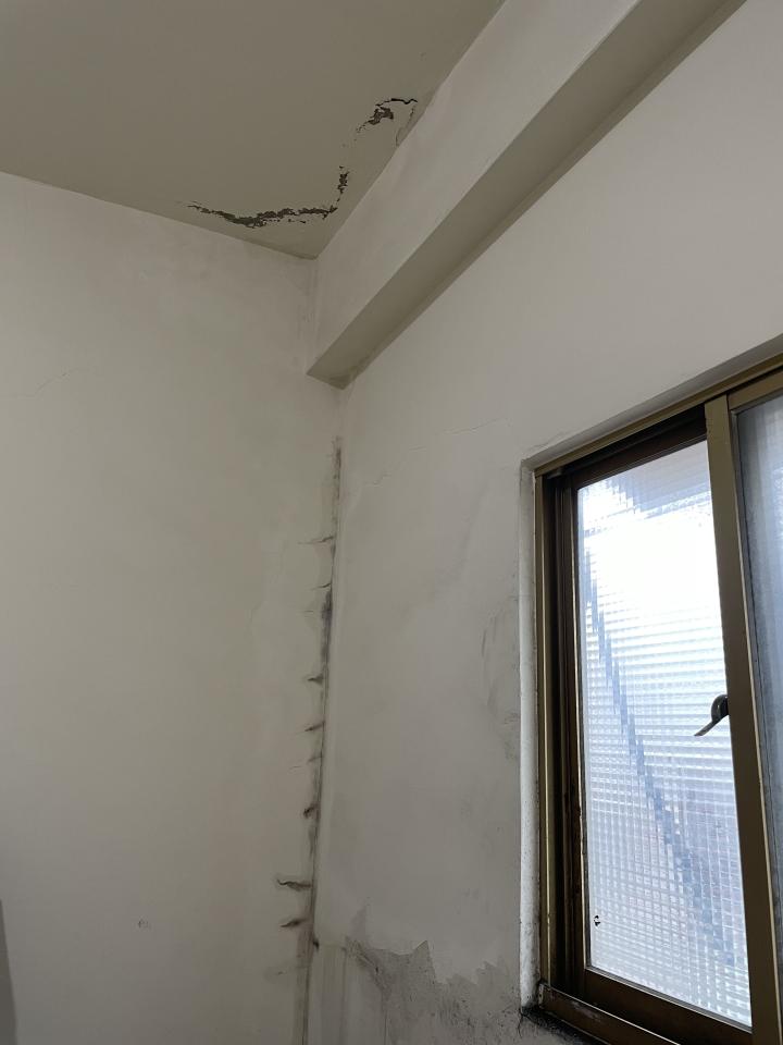 抓漏案件圖片 抓漏案件圖片