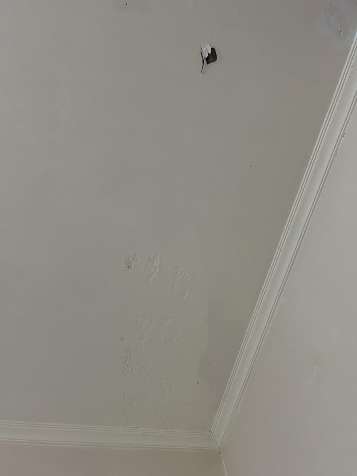 油漆工程案件圖片