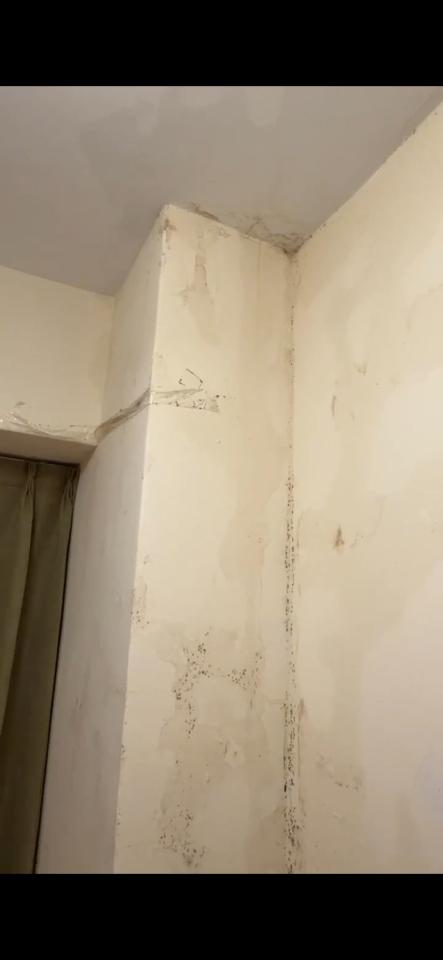 抓漏案件圖片 抓漏案件圖片