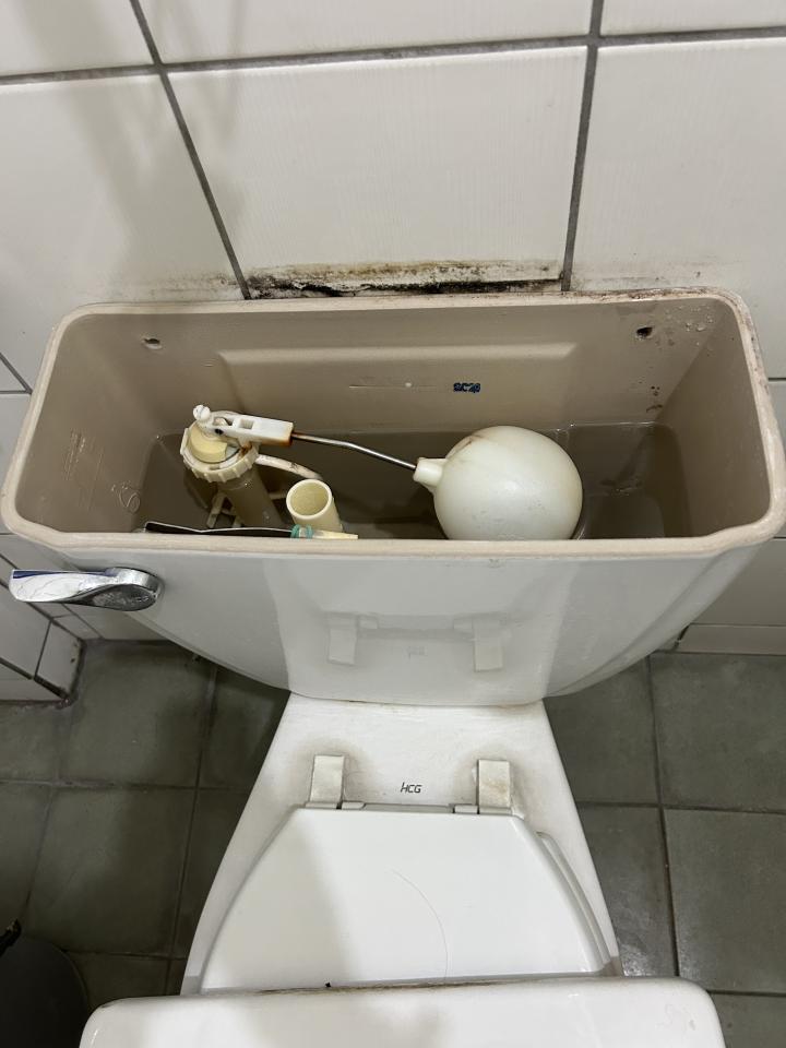 馬桶裝修案件圖片 馬桶裝修案件圖片