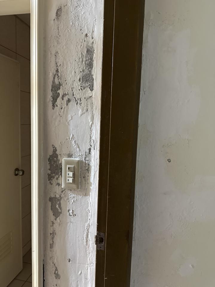 鋼筋外露處理案件圖片