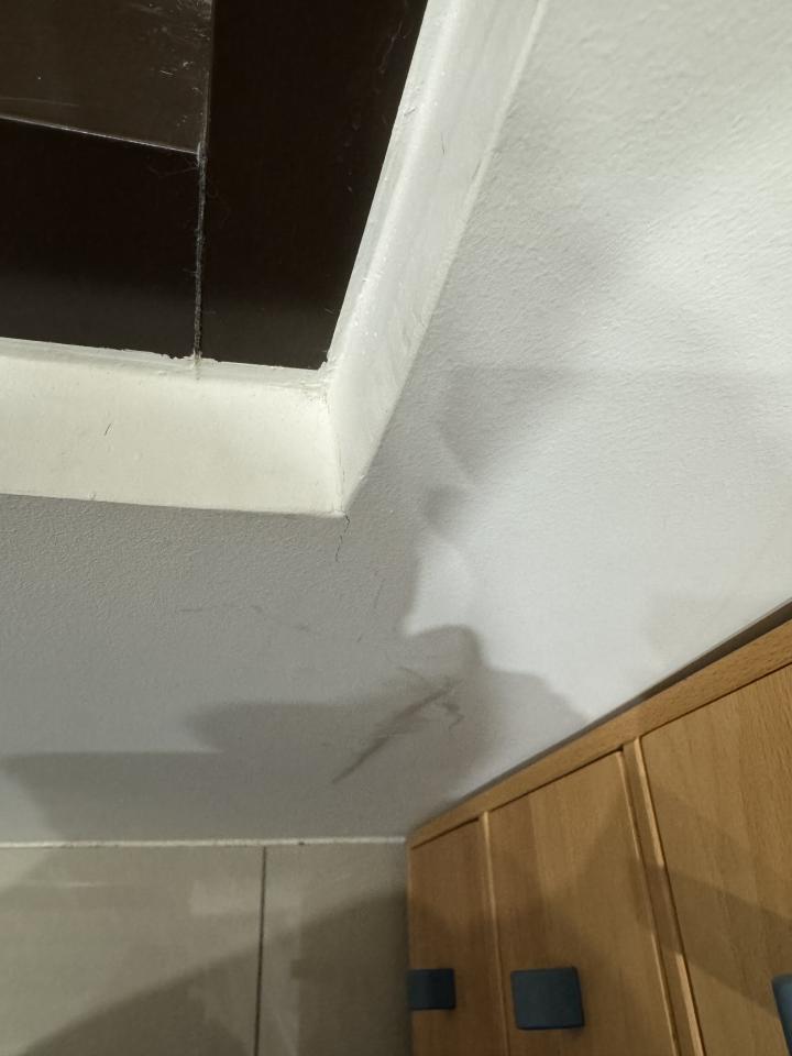 抓漏案件圖片 抓漏案件圖片