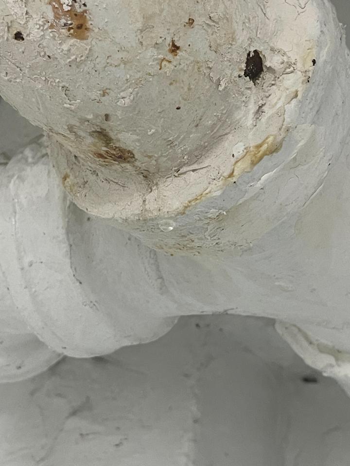 水管維修案件圖片 水管維修案件圖片