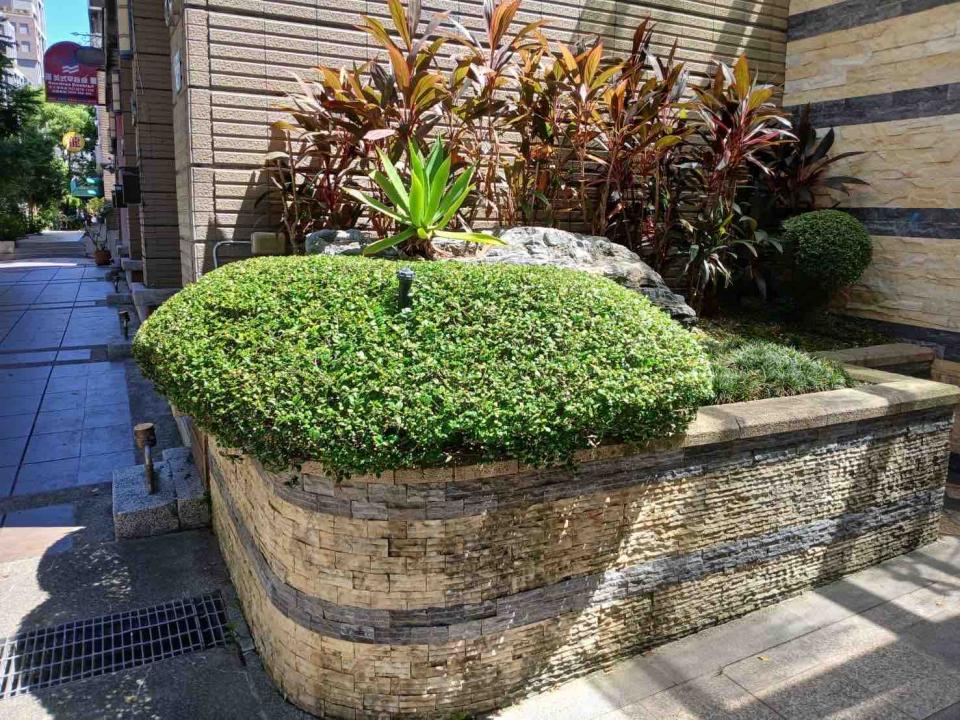 園藝維護案件圖片 園藝維護案件圖片
