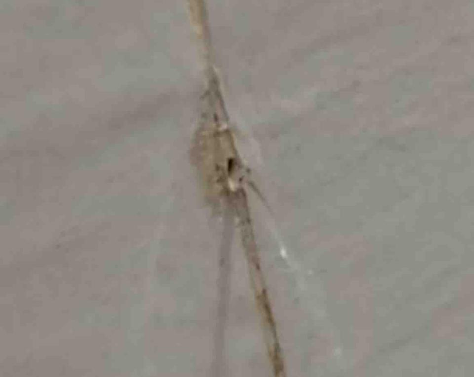 水管維修案件圖片 水管維修案件圖片