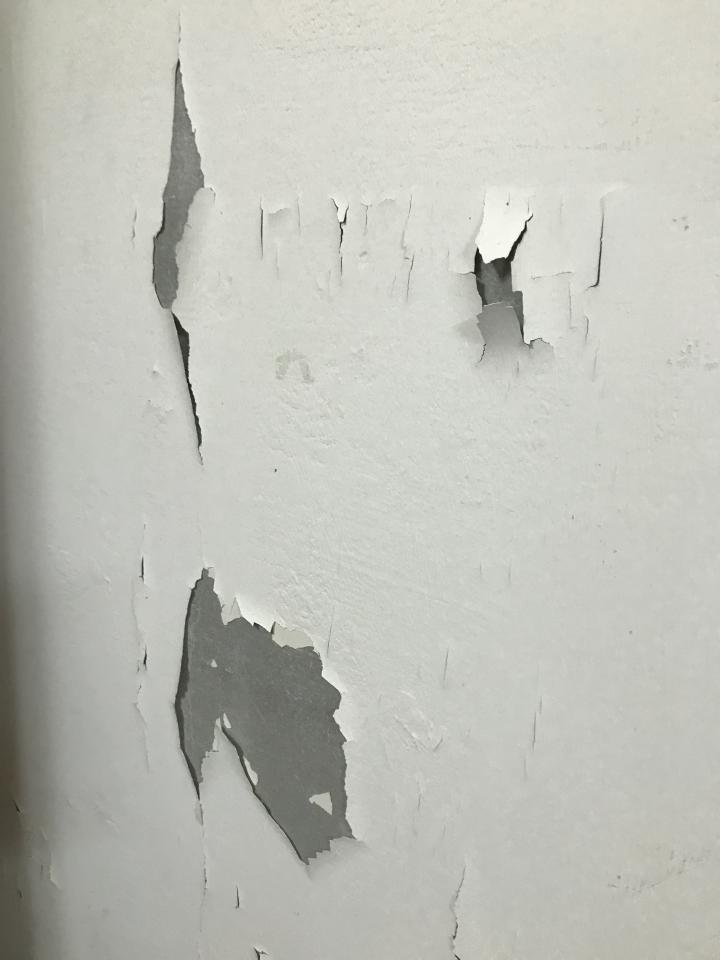 油漆工程案件圖片 油漆工程案件圖片