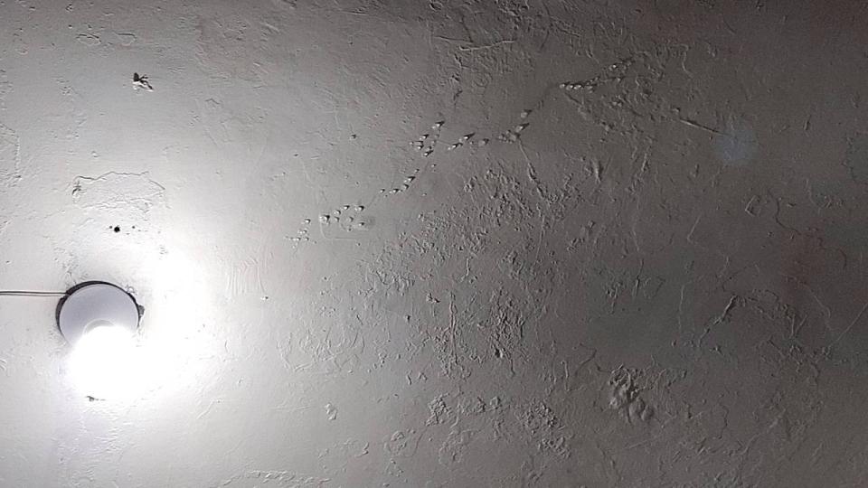 抓漏案件圖片 抓漏案件圖片