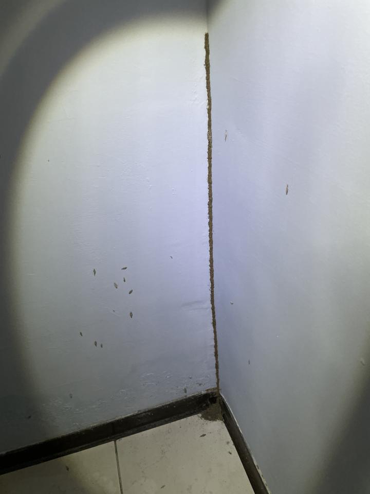 浴室翻新案件圖片