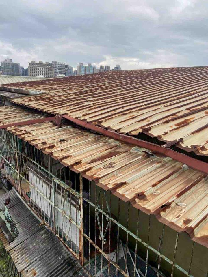 鐵皮屋頂案件圖片