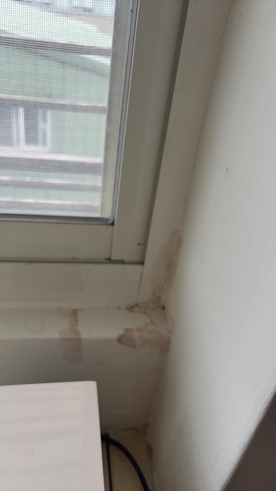 漏水處理案件圖片 漏水處理案件圖片