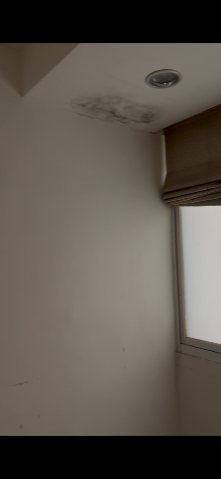 抓漏案件圖片 抓漏案件圖片