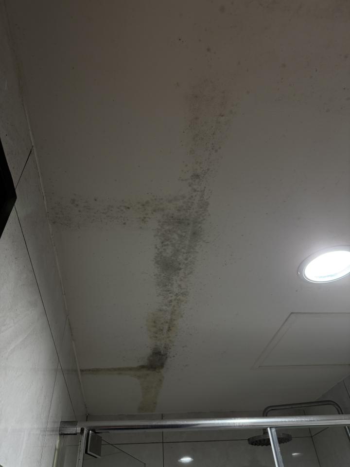 油漆工程案件圖片