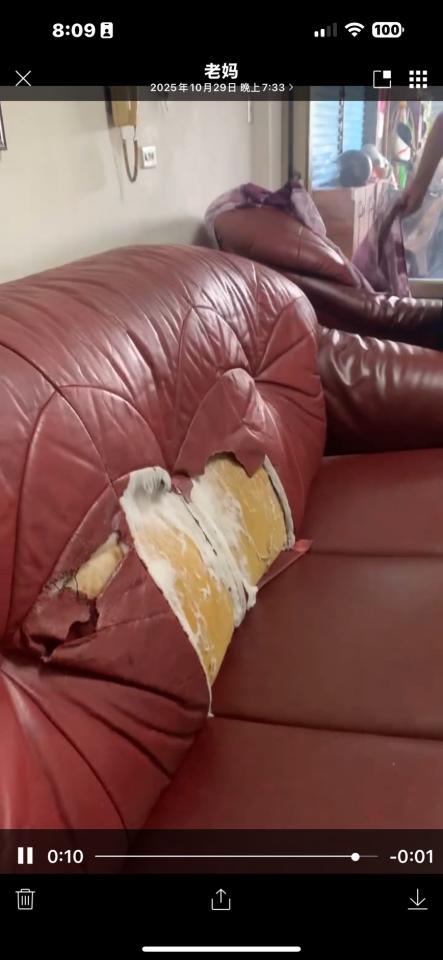 沙發修理案件圖片 沙發修理案件圖片