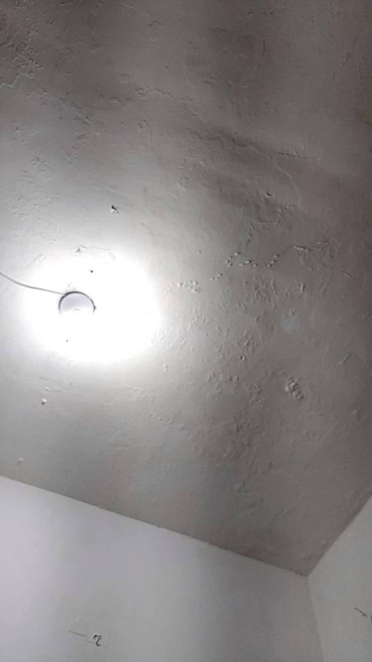 抓漏案件圖片 抓漏案件圖片