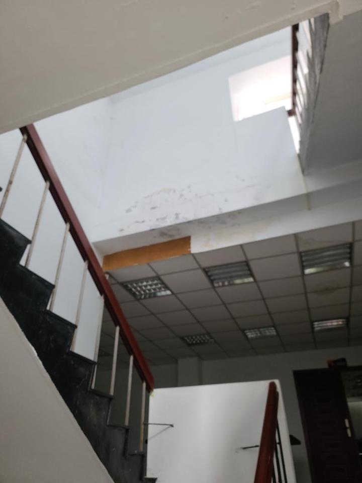 防墜網安裝案件圖片