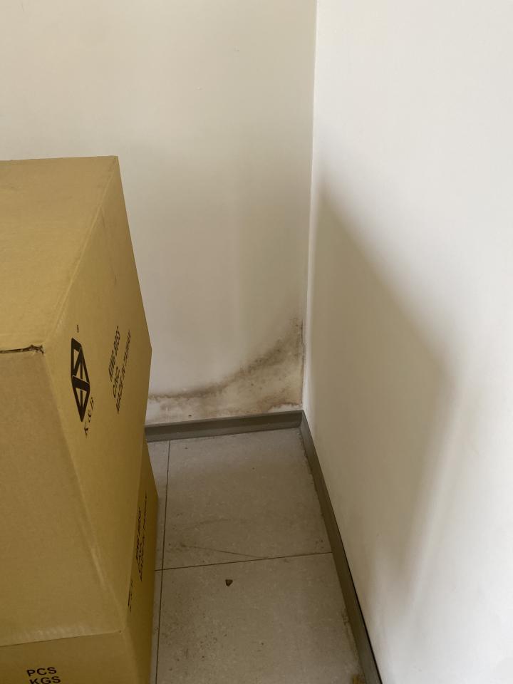 油漆工程案件圖片 油漆工程案件圖片