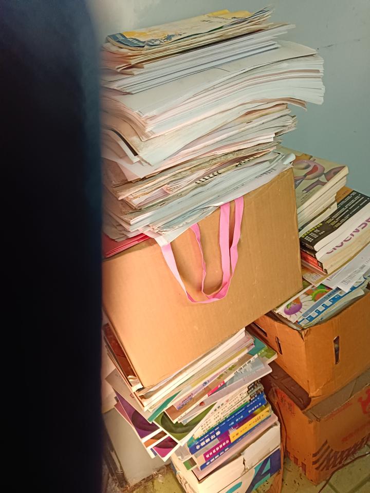 大型垃圾回收案件圖片