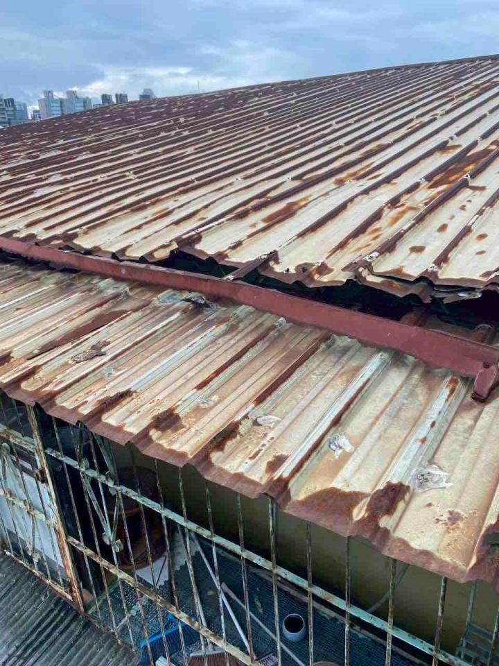 鐵皮屋頂案件圖片
