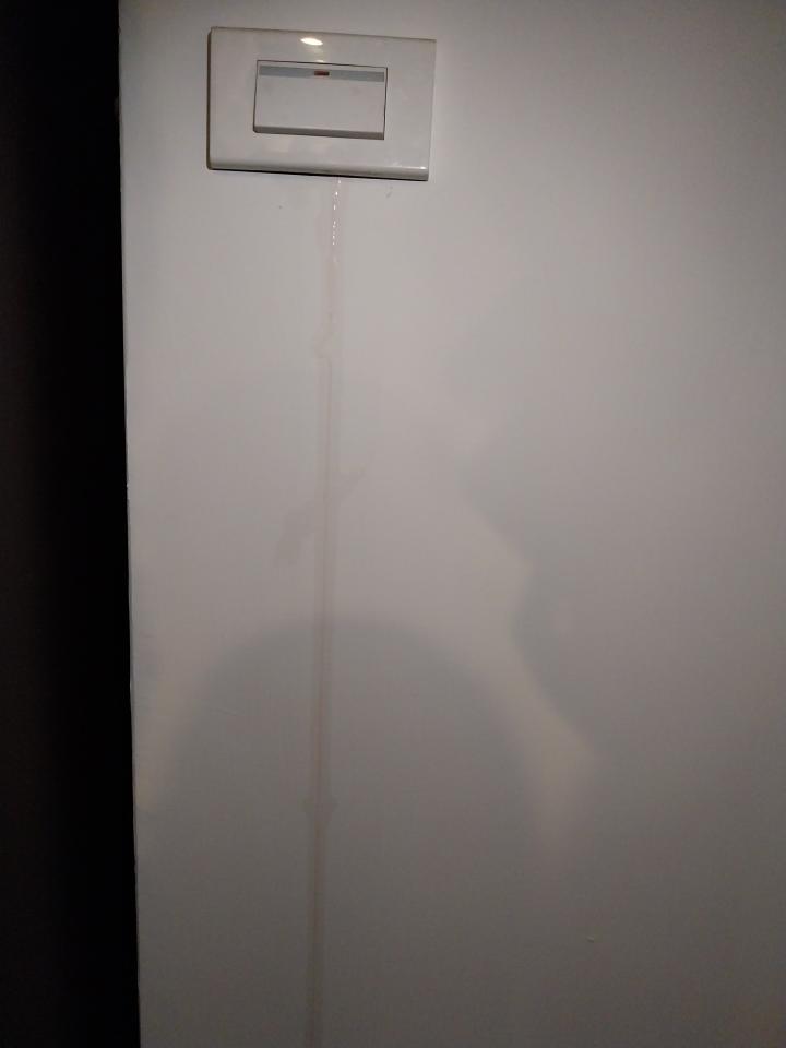 油漆工程案件圖片